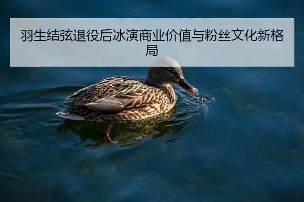 羽生结弦退役后冰演商业价值与粉丝文化新格局