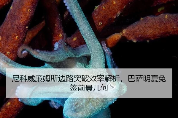 尼科威廉姆斯边路突破效率解析，巴萨明夏免签前景几何