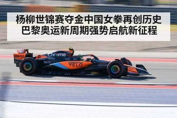 杨柳世锦赛夺金中国女拳再创历史巴黎奥运新周期强势启航新征程