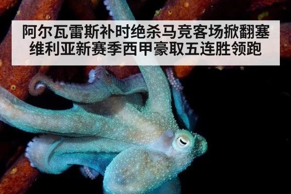 阿尔瓦雷斯补时绝杀马竞客场掀翻塞维利亚新赛季西甲豪取五连胜领跑
